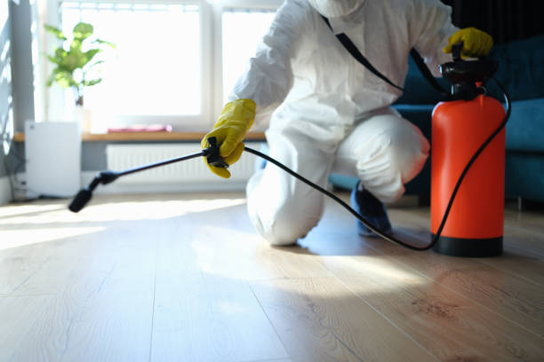 Reliable Hoarding Cleanup contractor in Woodinville, WA by Dulley Family Biohazard Services